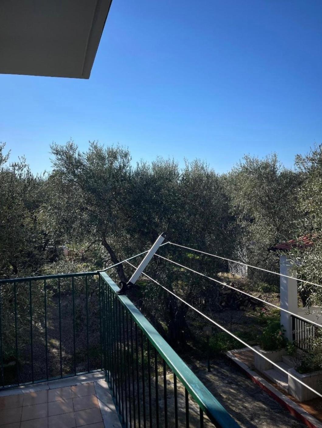 Villa Margherita Vieste Exteriör bild
